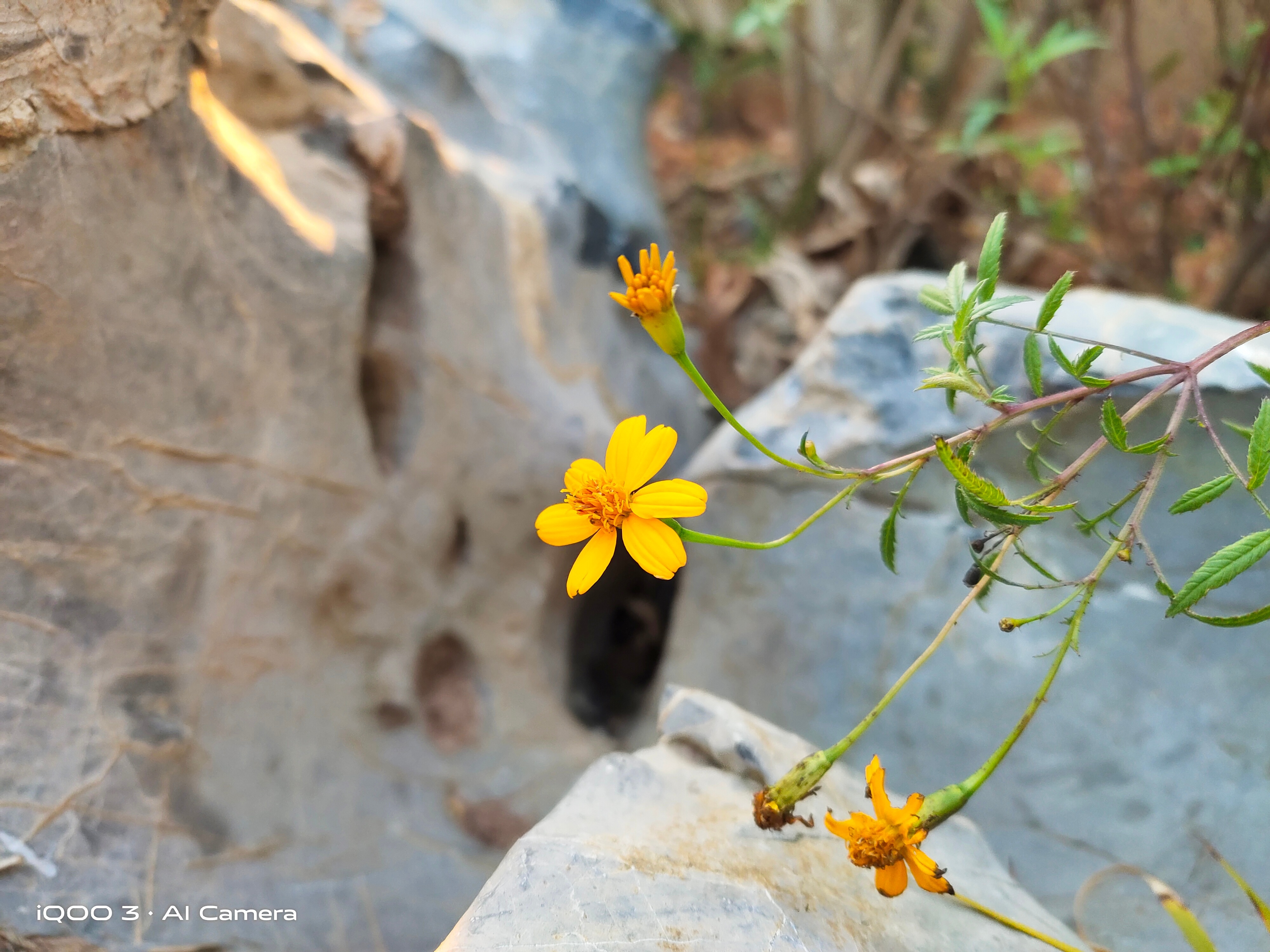 iqoo3手机评测还能战几年,iqoo3测评这才是旗舰该有的样子