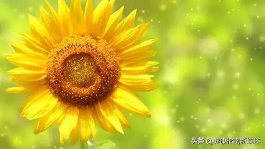 超实用肛肠保健操,专治肛肠病的保健操