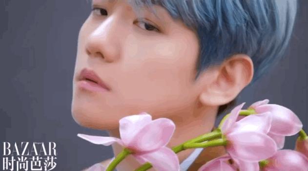 中泰文化差异对比娱乐视频,中日韩泰审美区别