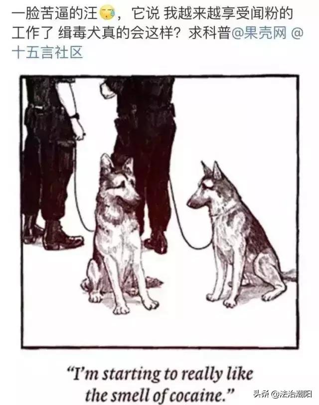 闻毒品味会有危害吗,闻毒品气味算吸毒吗