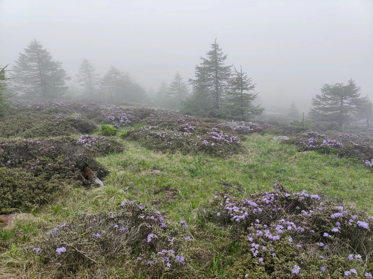 一个人的旅行——九死一生的太白山穿越记（3）