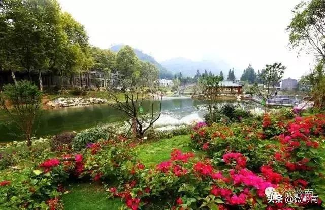 都匀市在全省排名,生活不要太幸福