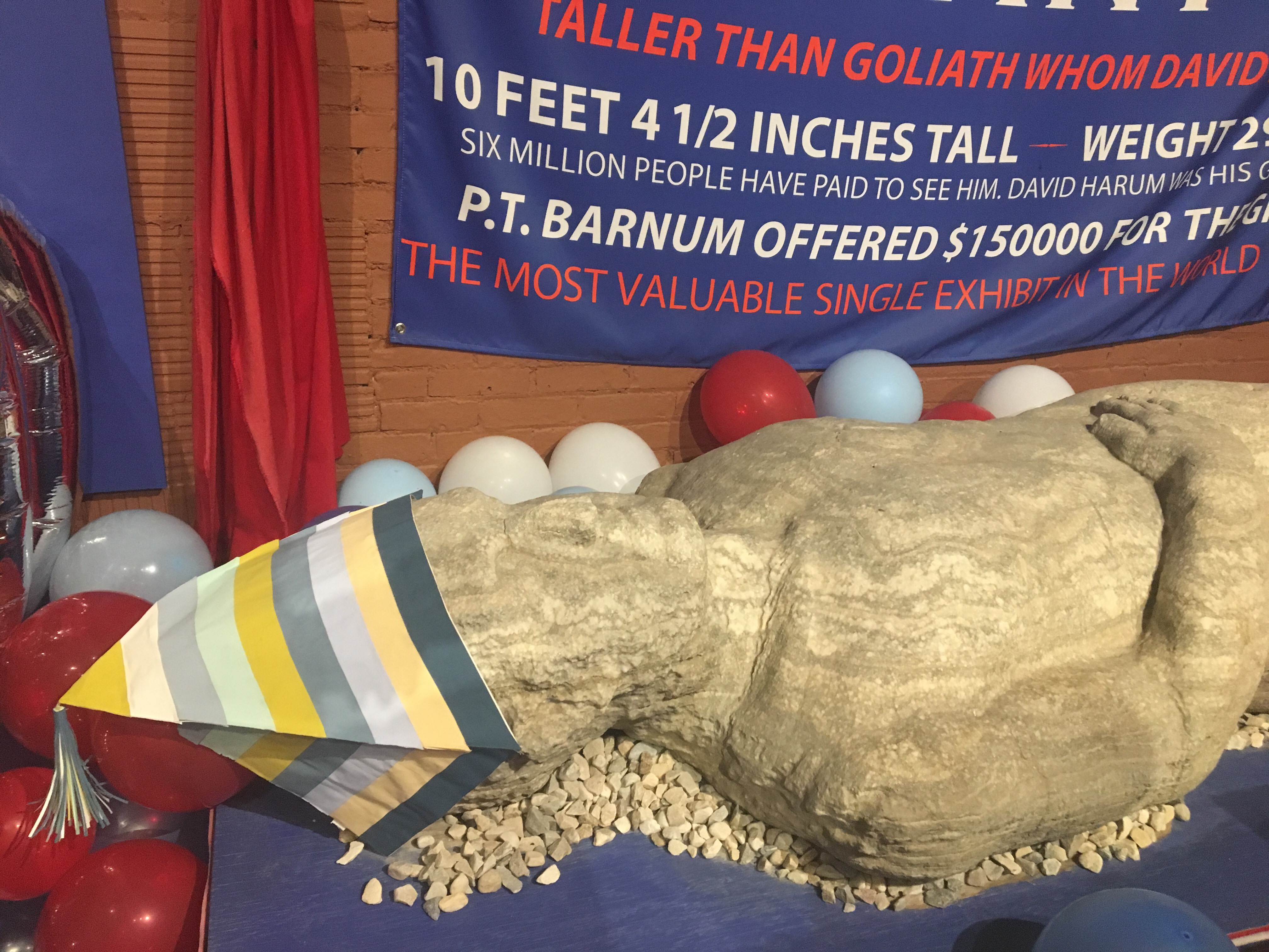 翼龙被拍到的真实视频,美国人抓了一只翼龙