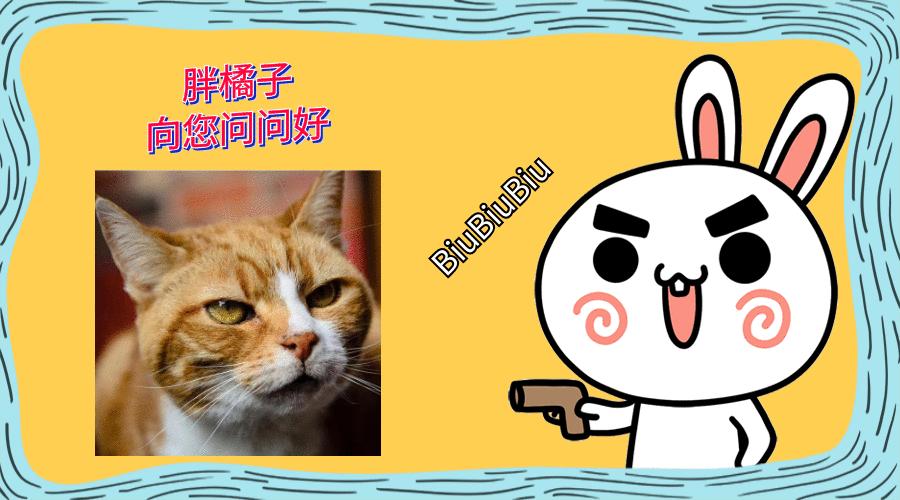 家里养猫咪怎么让它不乱抓,养猫怎么防止猫咪弄乱家里物品
