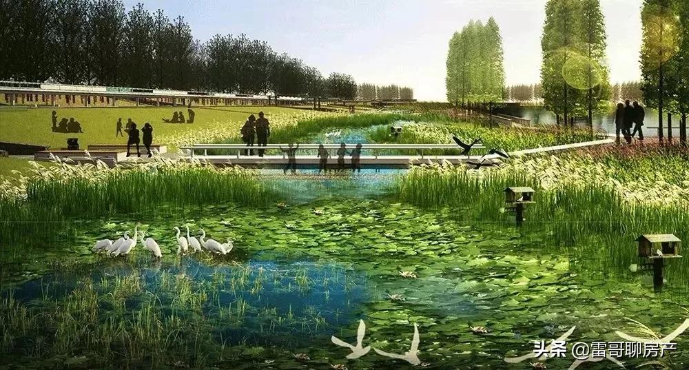大局已定惠州横沥在哪呢,大局已定2020