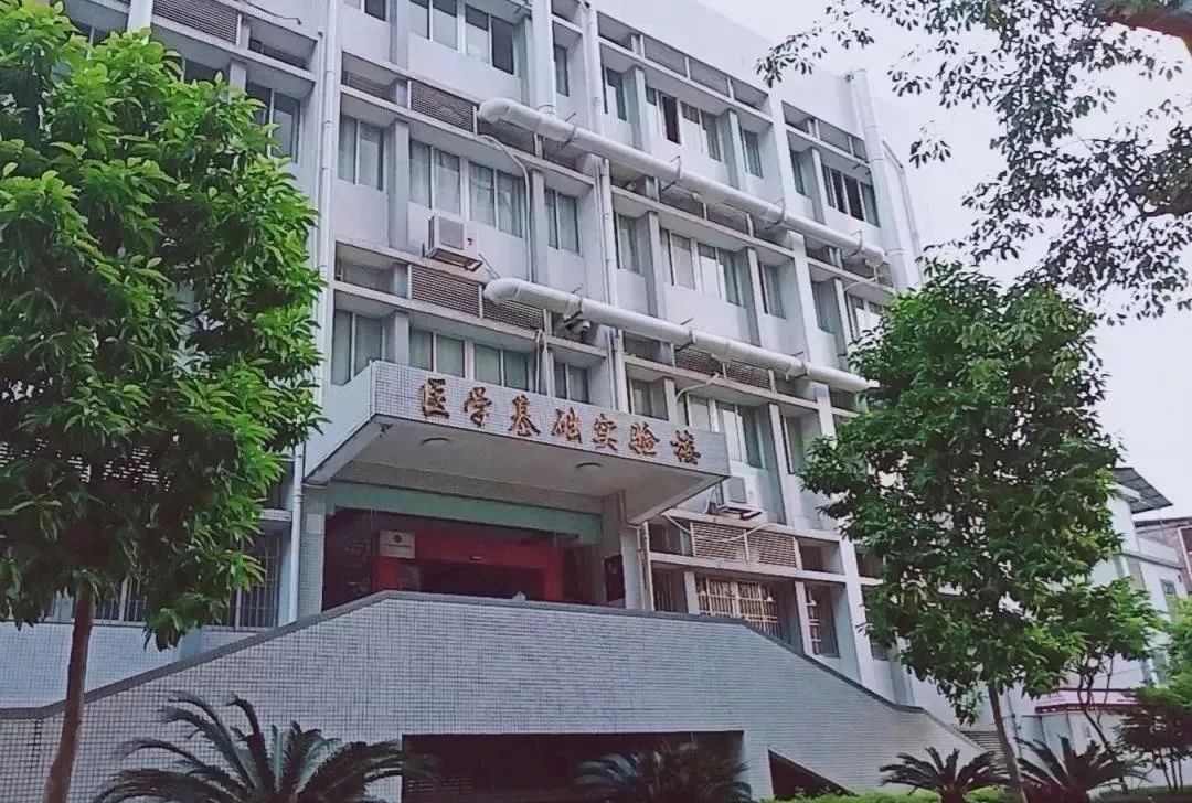 高职高考嘉应学院技能考试,梅州嘉应学院高职高考分数排名