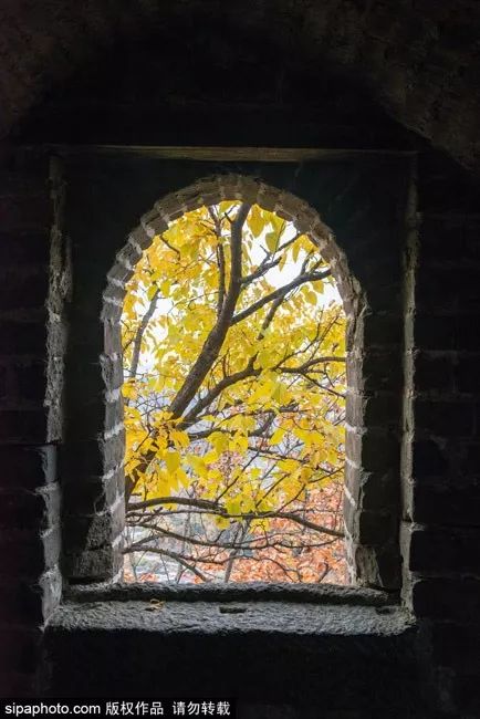 再不去玩就晚了！北京秋游倒计时！爬​山、赏叶、观鸟…随便您怎么嗨！