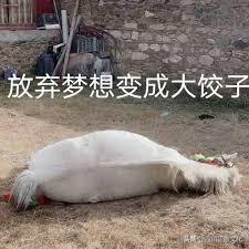 甘孜州5月最值得去的地方,甘孜州真的有必要去旅游一趟吗