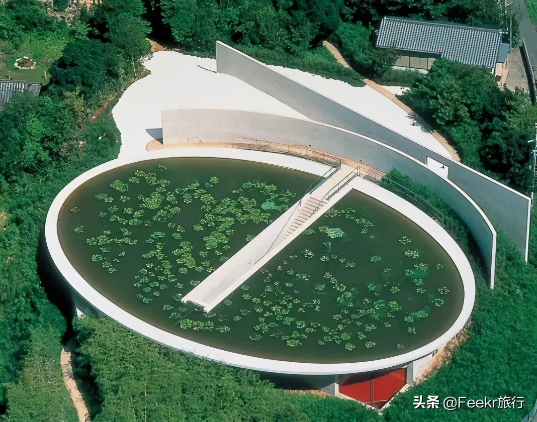 上海安藤忠雄水之教堂,去不了日本就去鼋头渚看樱花