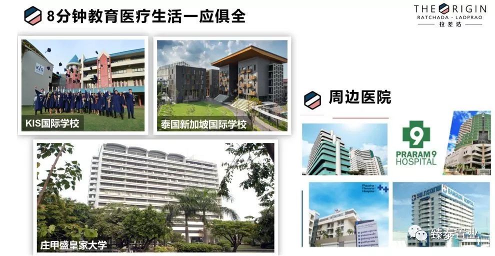 年轻生活！THEORIGIN拉差达性价比之王