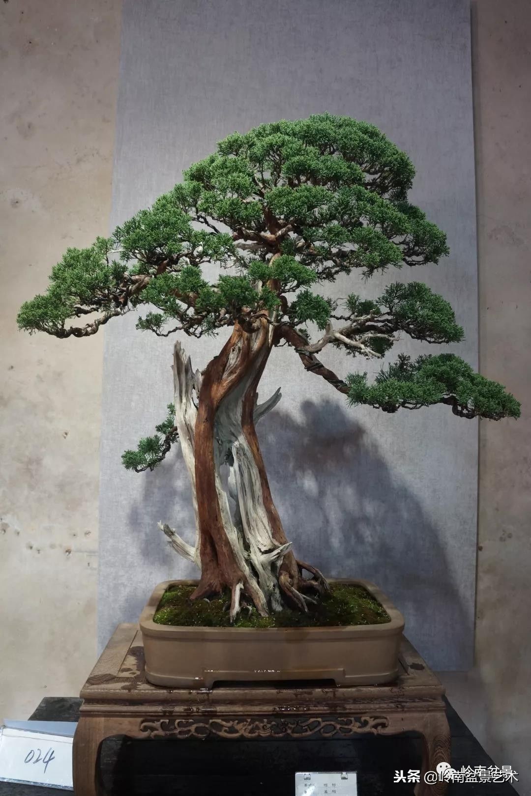 閲戝脊瀛愬湪鐩嗘櫙涓殑鍦颁綅,姒嗘爲鍦ㄧ泦鏅晫鍦颁綅