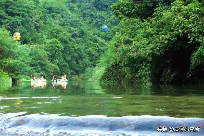森林和山水,森林公园和森林湖畔