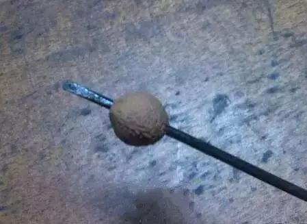 吃剩的水果核不要丢弃,吃剩的樱桃籽能种吗