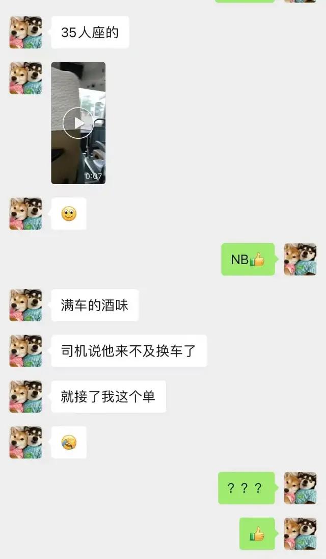 哈哈哈哈哈我笑到我家的狗偷开邻居家的车送我去精神病院