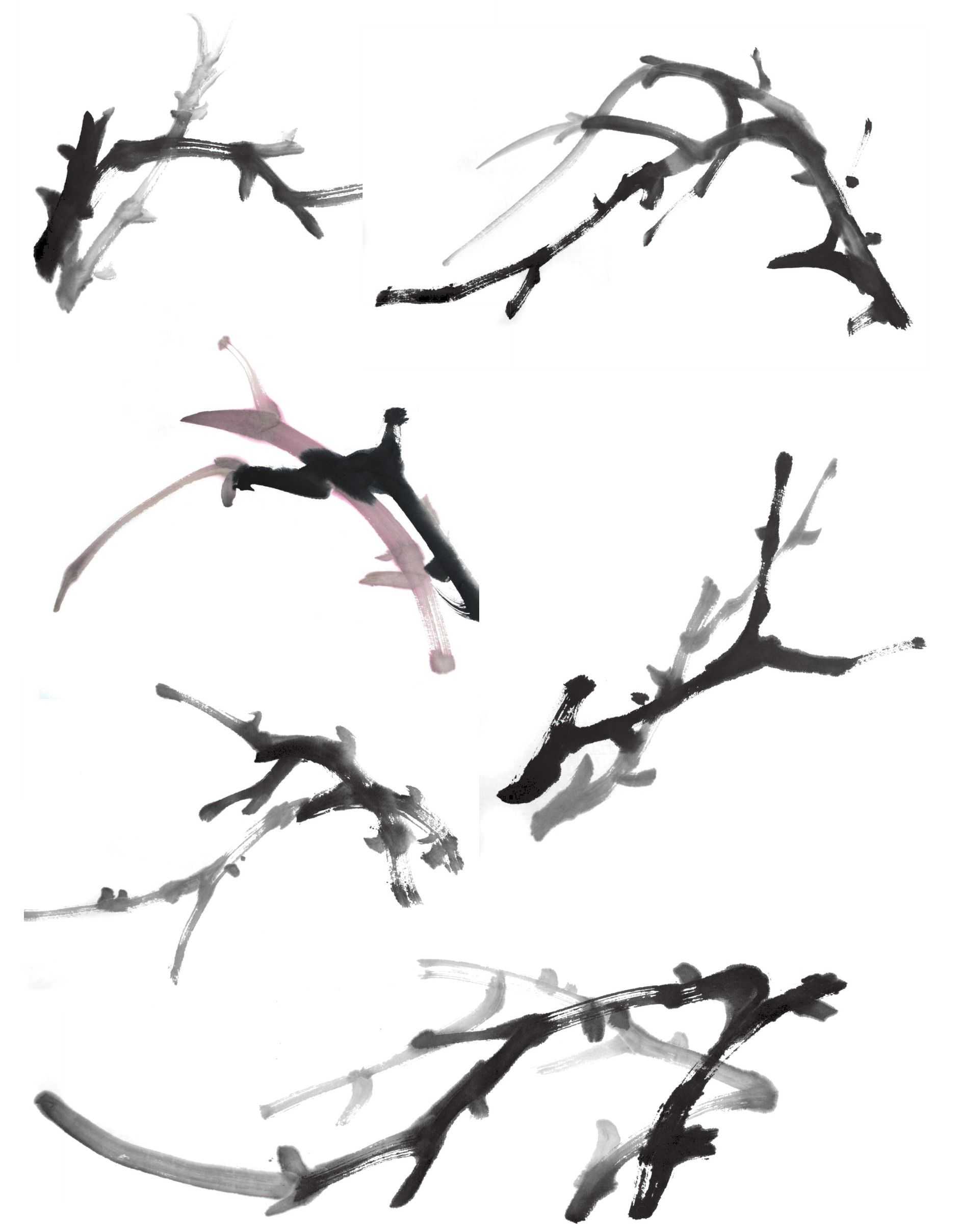 各种花的画法教程简笔画,各种花的画法大全简单漂亮