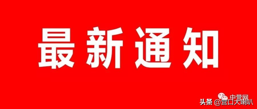 营口小学网课平台,营口中小学生