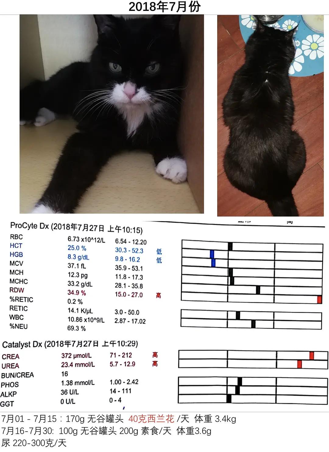 糖尿病患者胆囊炎胰腺炎同时出现,胆囊结石胰腺炎糖尿病