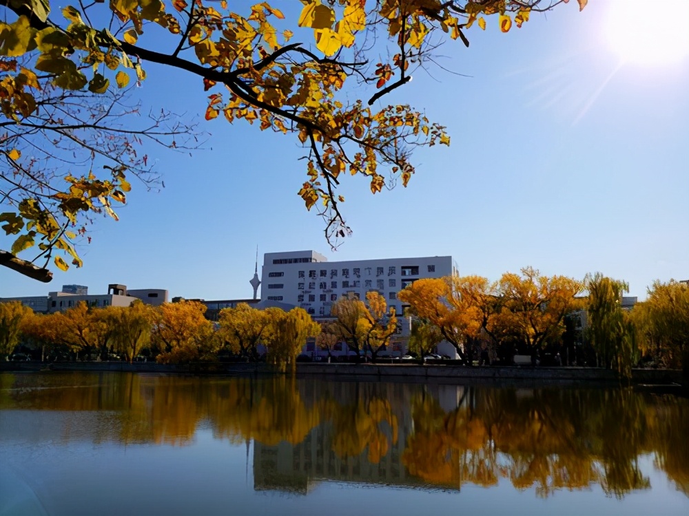 天津大学化工系好吗,天津大学化工学院举报信全文