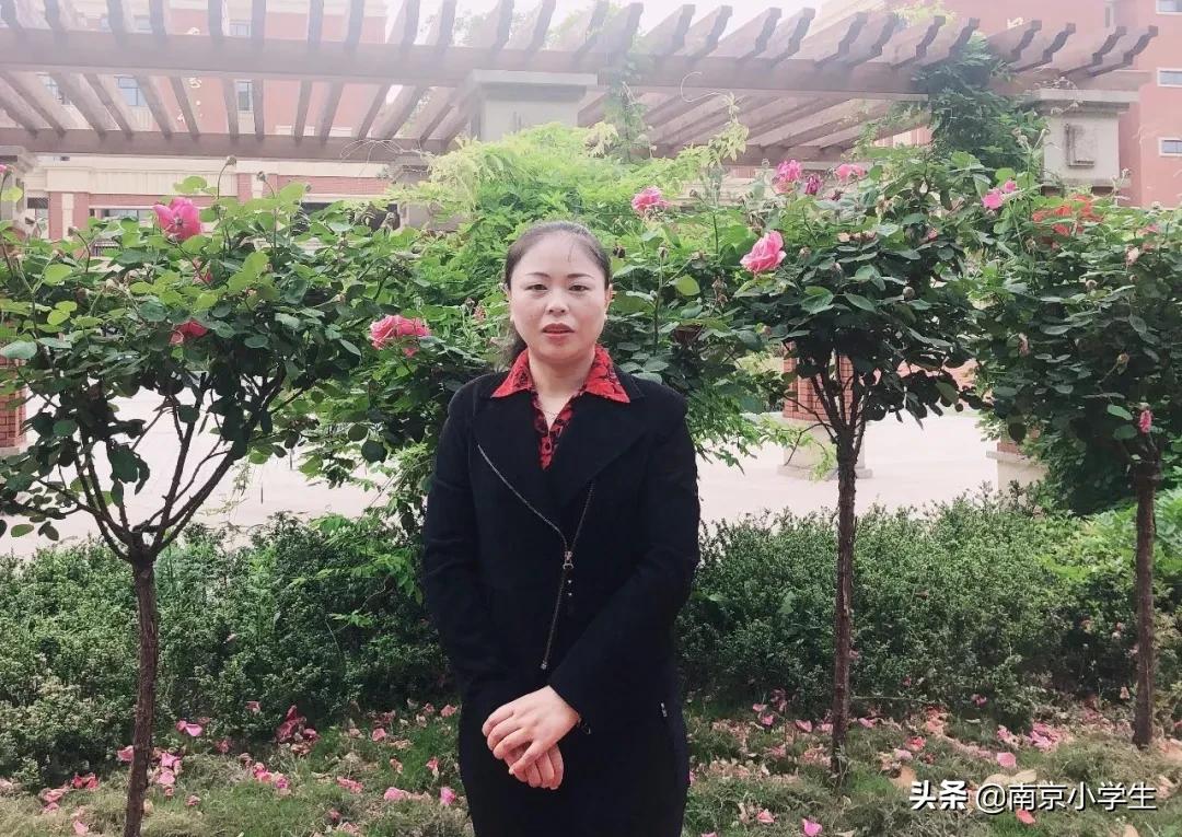 南京十所小学排名,南京10大民办中学