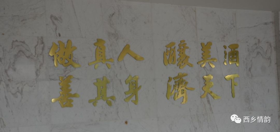 文龙：我与古井贡酒的三醉之情缘