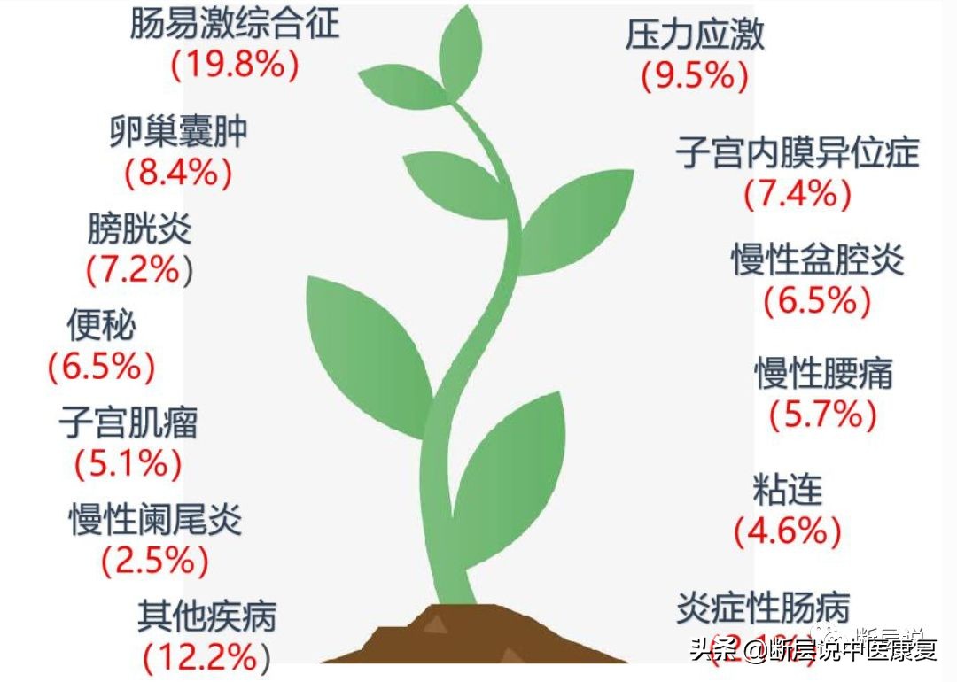 妇科盆腔疼痛症,盆腔筋膜炎如何彻底治愈