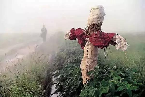 你是否相信这个世界上有完美犯罪,这个世界上没有所谓的完美