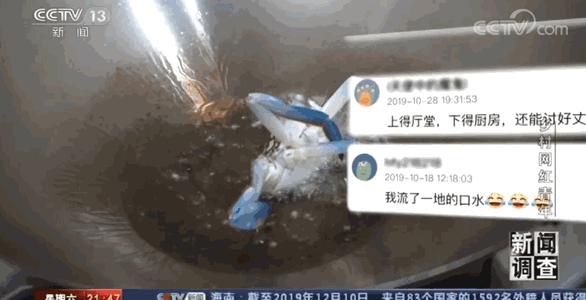 “渔人阿烽”上央视，讲述西瓜视频赶海创作者的成长史