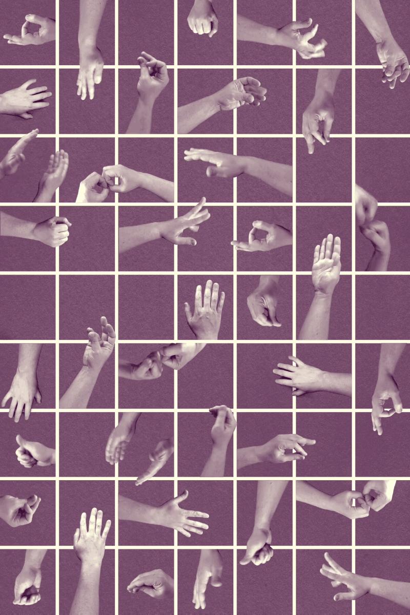 纽约时报年度最佳童书绘本推荐,纽约时报年度最佳图书