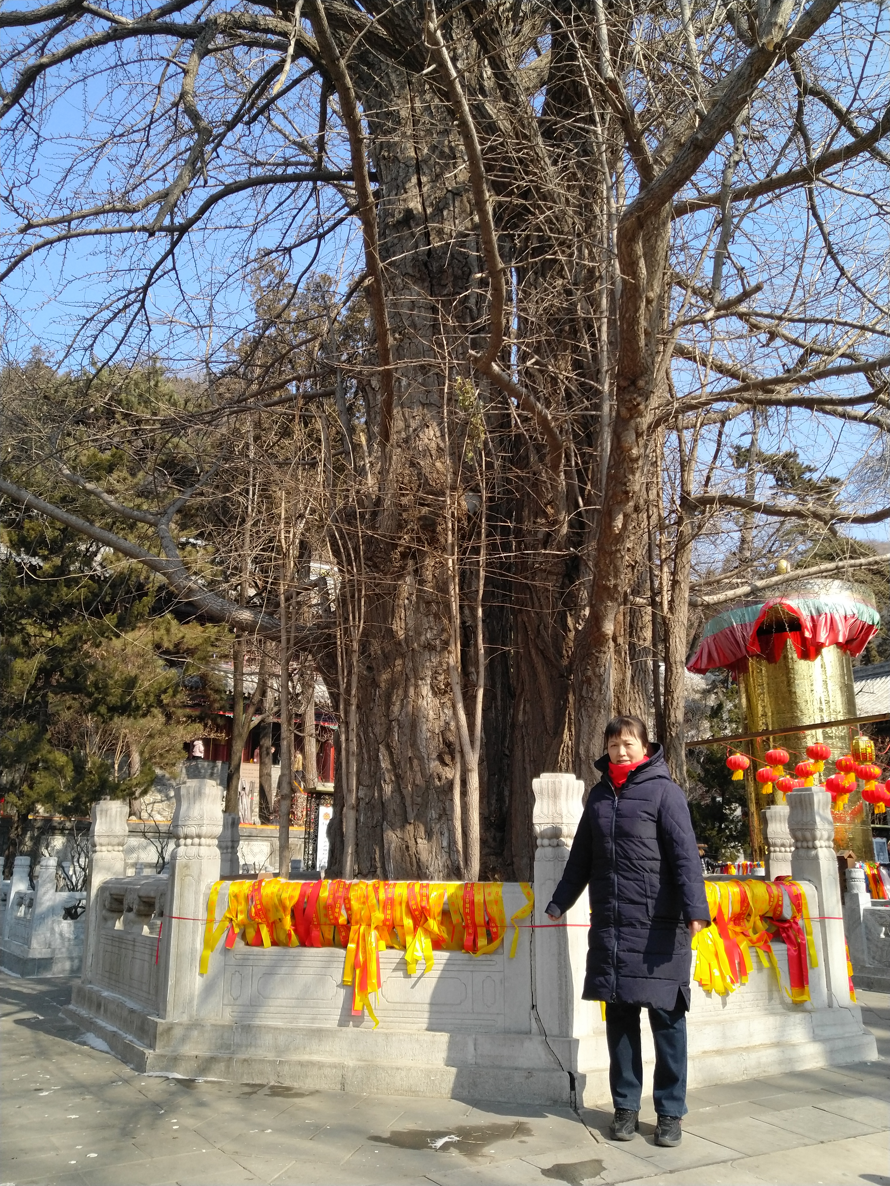 北京卢沟桥一日游,潭柘寺八奇洞一日游