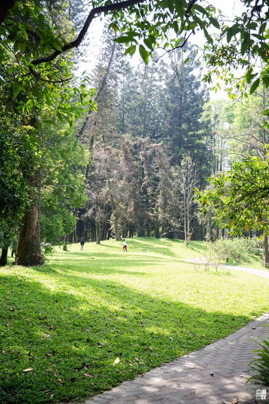 300+万㎡原始森林秘境，天河就有