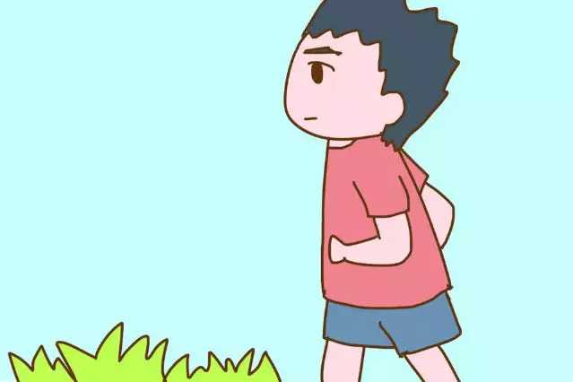 老婆怀孕有哪些问题,老婆怀孕了我应该做些什么