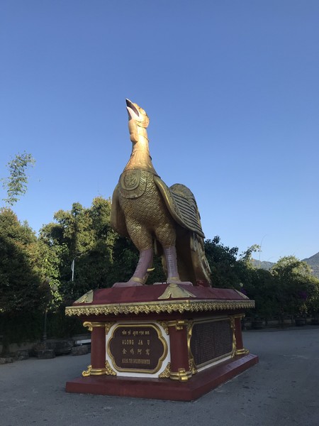 鑺掑競鍜岃吘鍐茬憺涓藉摢涓ソ,鑵惧啿鐟炰附鑺掑競瑗垮弻鐗堢撼