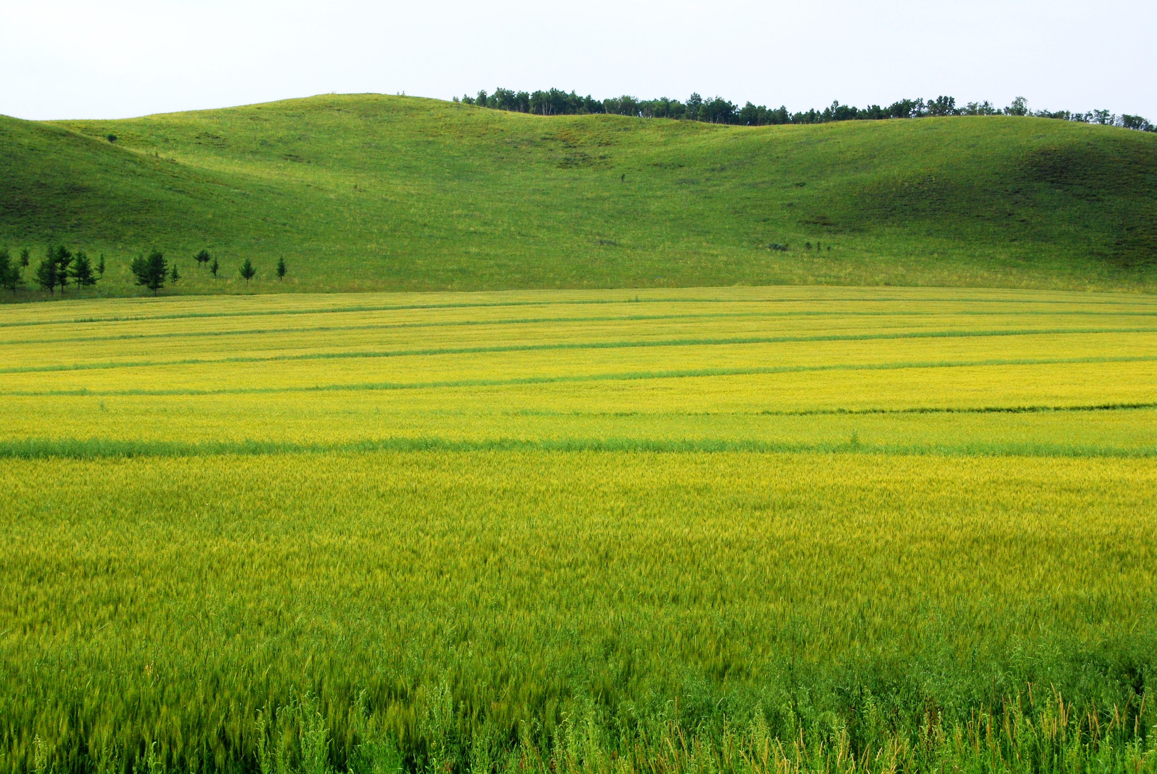 一辆车，从东乌旗沿中蒙边境公路到阿尔山，漫长边关寻迹历史遗存