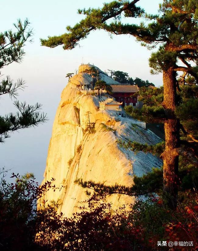 6月到了，送你6花6蝶6鸟6景6曲6诗，这月顺顺利利。