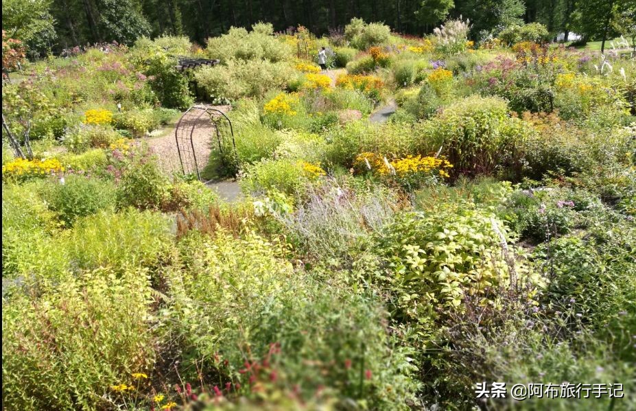 5分钟去日本旅游攻略,去日本深度旅游攻略