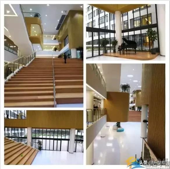 金苹果锦一小升初对外招生吗,成都金苹果锦一中学小升初政策