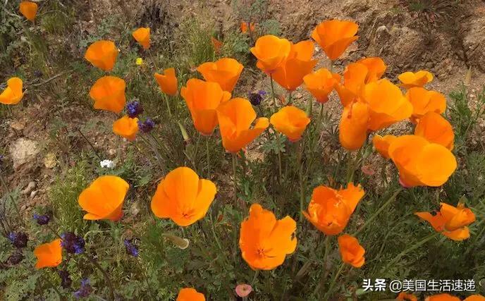 大美钻石谷湖：诗和远方并不远
