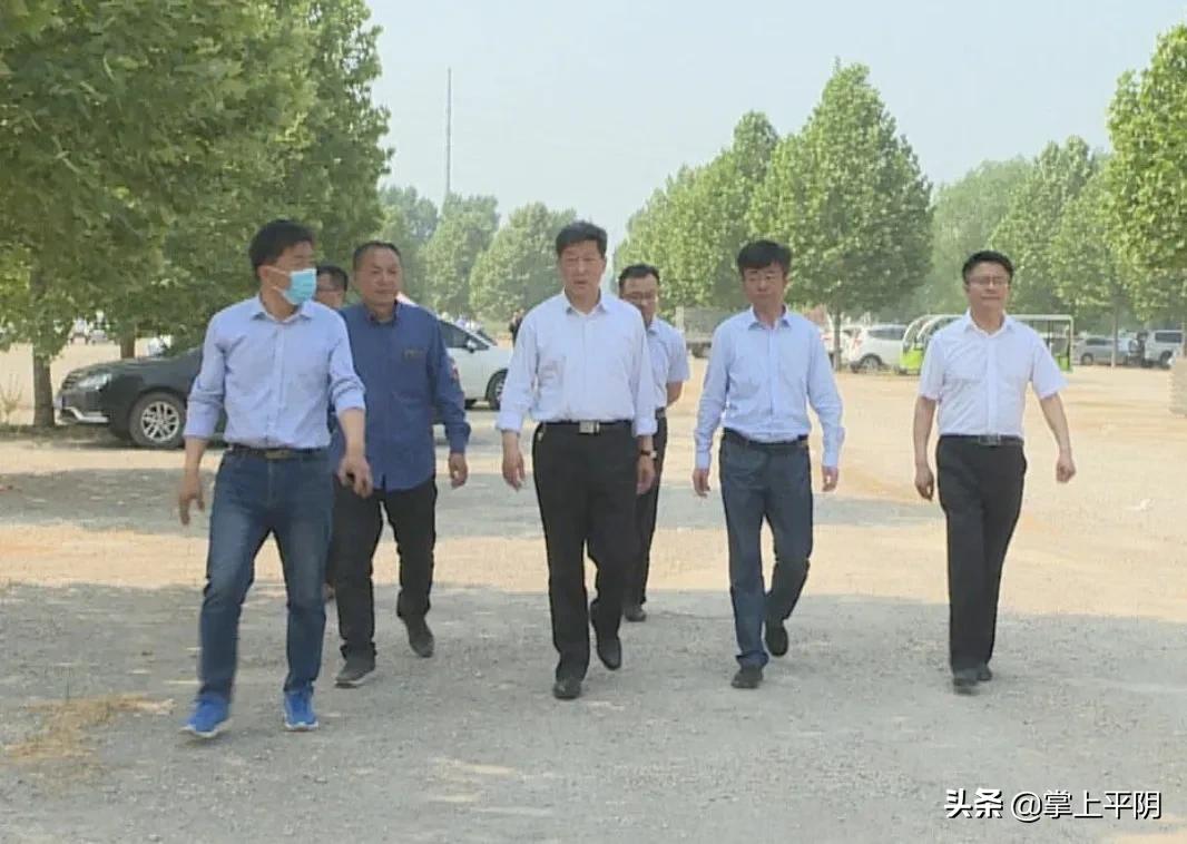 平阴新闻|节日期间安全生产、疫情防控不放松；昨日玫瑰花花冠、花蕾、大花价格