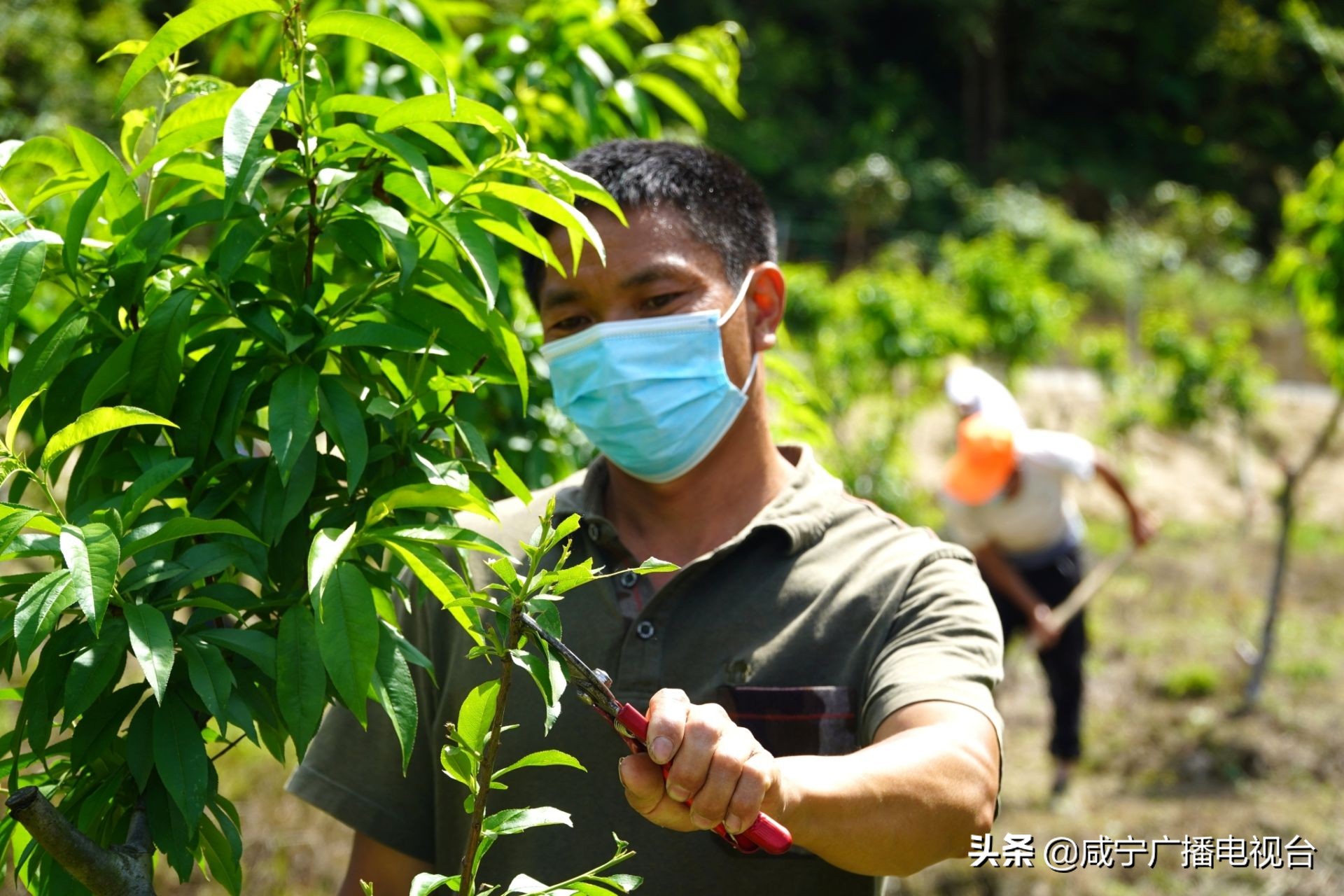 通城美丽乡村人间仙境,通城乡村振兴村景