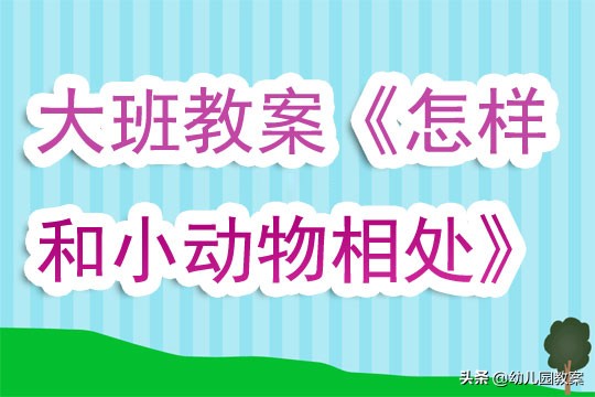 小动物的冬天教案大班,大班小动物找工作教案