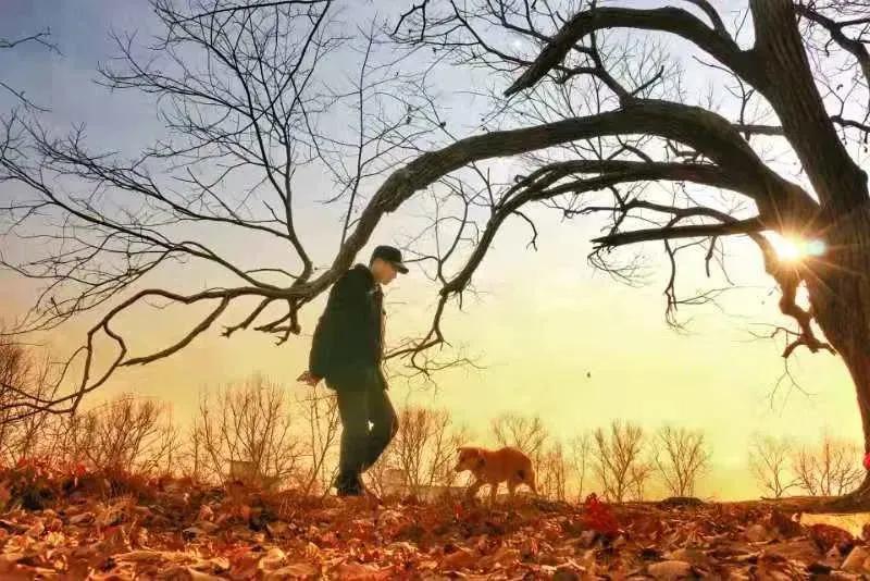 每周摄影作品全集,摄影作品展活动4k视频