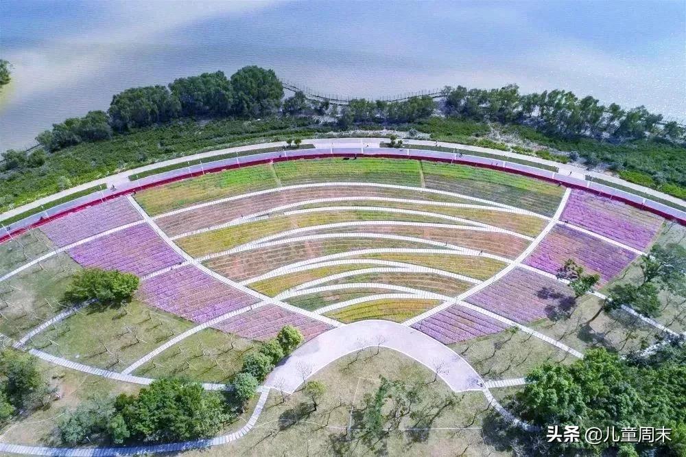 深圳带娃免费旅游推荐,深圳带娃出游景点攻略推荐