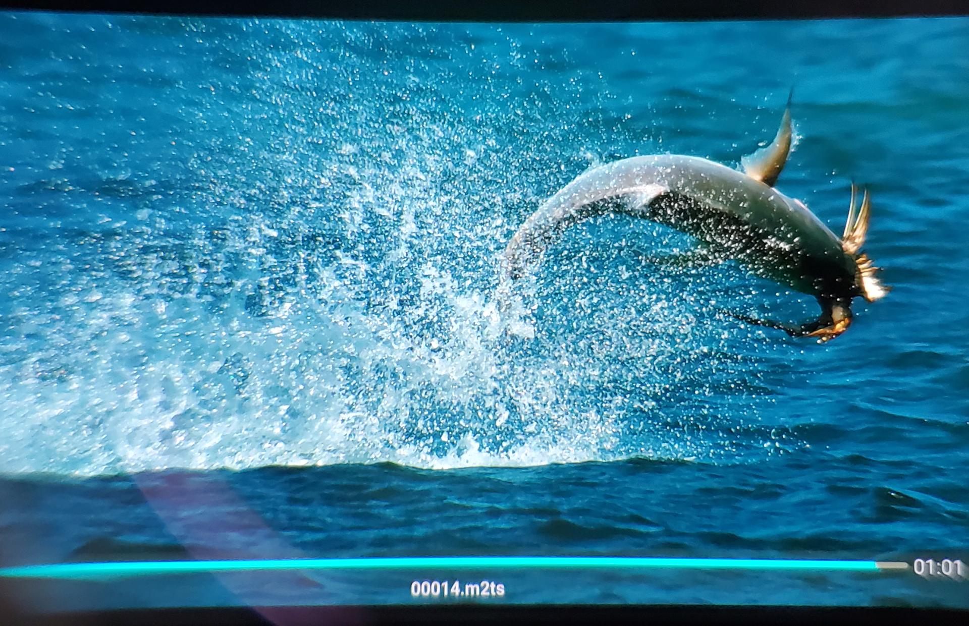 goovispro头戴显示器评测,移动便携屏