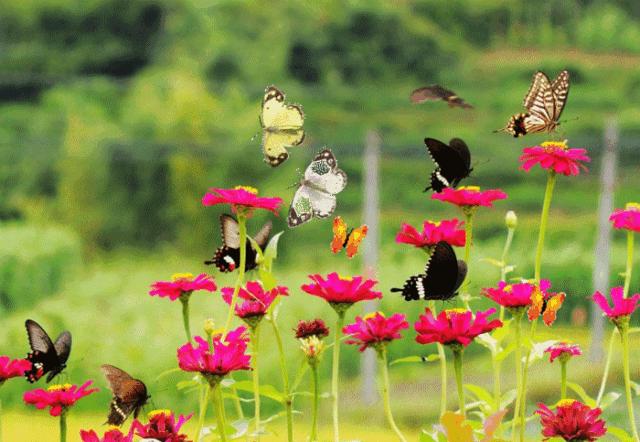 只要19.9元！3000+昆虫萌宠来袭！首届昆虫萌宠主题沉浸展空降武汉