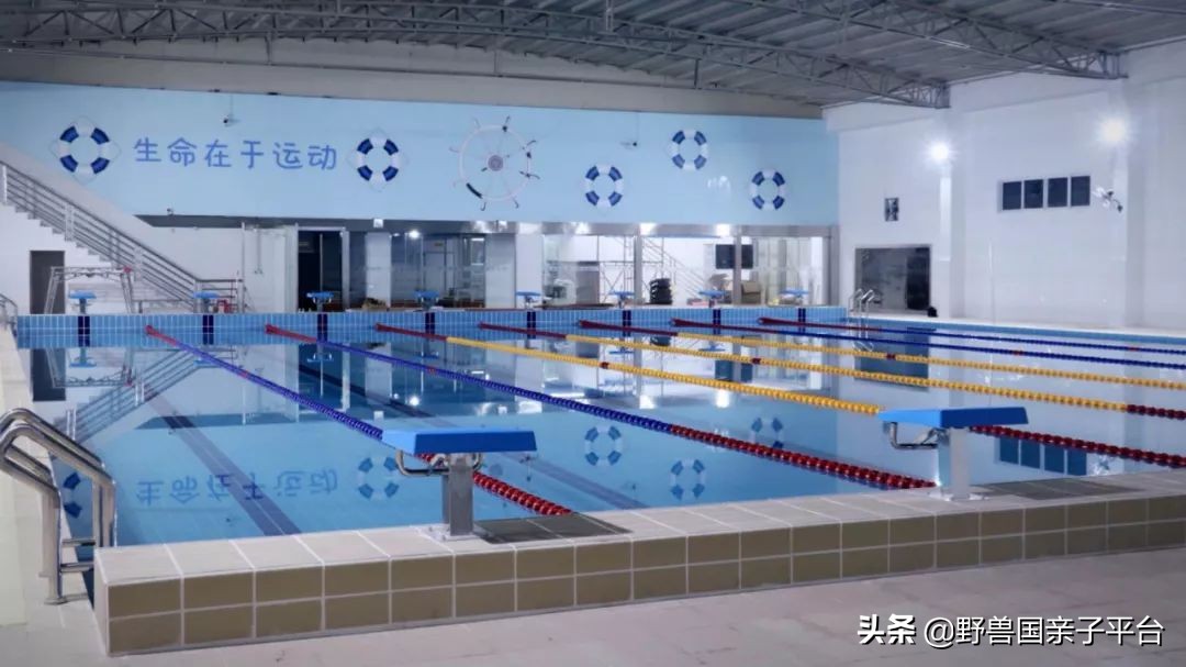 哪里学游泳最便宜又好,暑假学游泳去哪里学