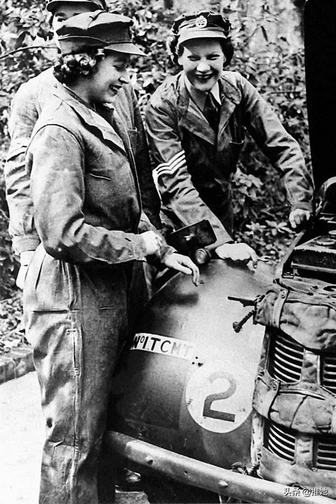 芭比娃娃变成美丽的女王仙子,芭比娃娃伊丽莎白女王