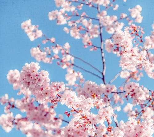 抗击疫情与爱同行做什么,战胜疫情敬畏生命做好防护