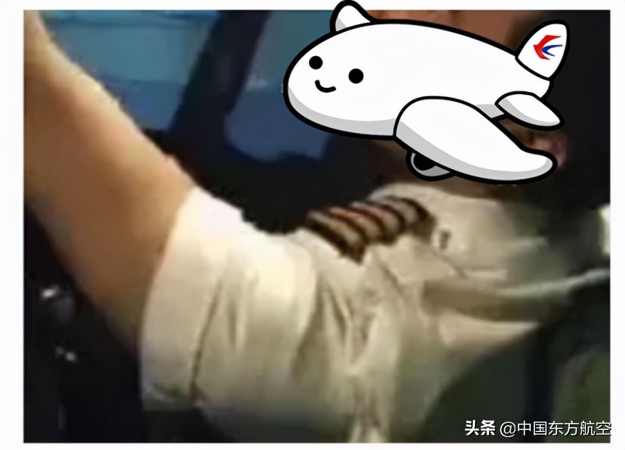 飞行员打假事件,飞行员评判标准