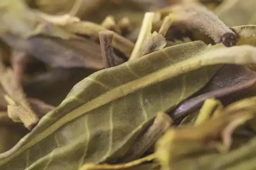 解读普洱第一山布朗山,布朗山普洱老树茶介绍