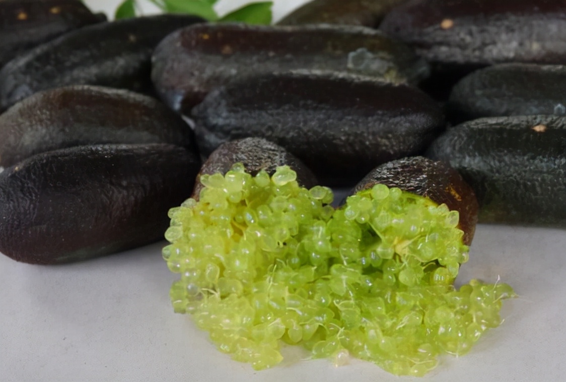 指橙和指橙柠檬区别,指橙有没有长得很高的品种